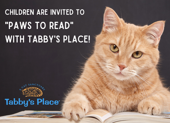 "Paws to Read" with Tabby's Place! Saturdays, 11/5 & 12/3 1 to 2 PM Kids are invited to enjoy stories and practice reading with cats from the sanctuary!