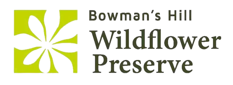 bowman's hill wildflower preserve